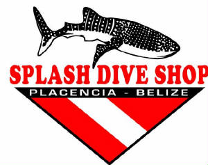 CLICK HERE TO GO TO SPLASH DIVE CENTER